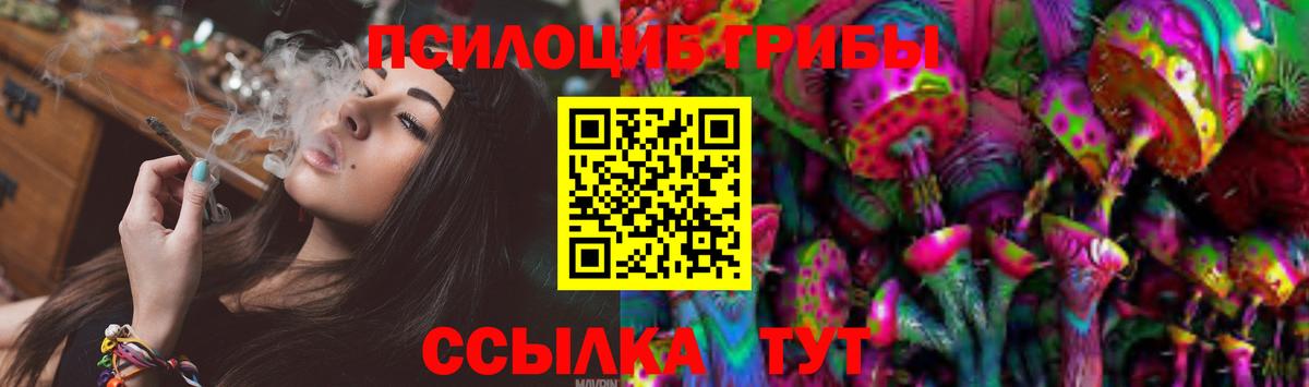 Псилоцибиновые грибы MAGIC MUSHROOMS  Вход с VPN  Моршанск 